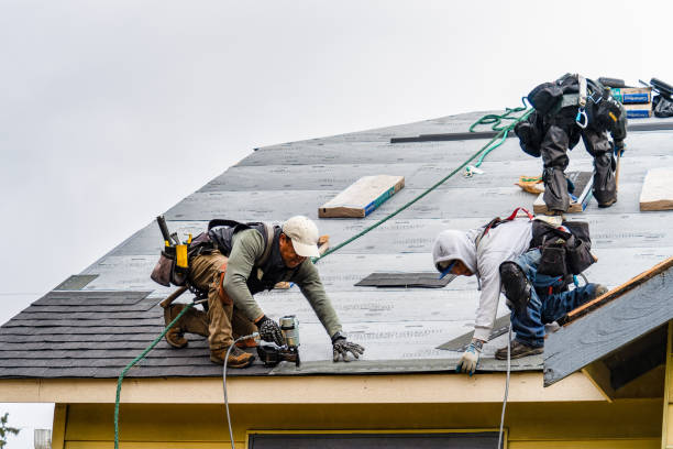 Professional Roof Inspection technician working in Randolph, MA